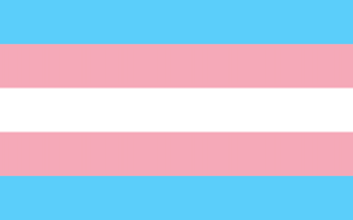 A transgender pride flag with blue, pink, and white stripes. 